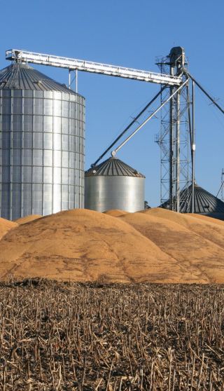 Gestion des remontées et reconnaissance d'images dans une usine